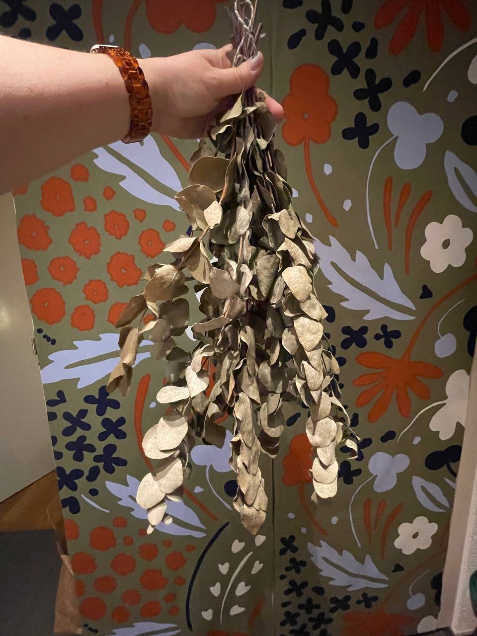 Getrockneter Eukalyptus